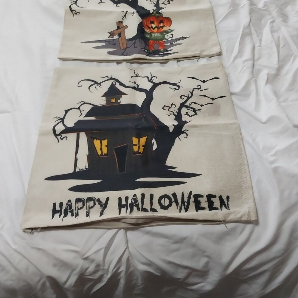 Halloween Themed Pillow Cover set of 2